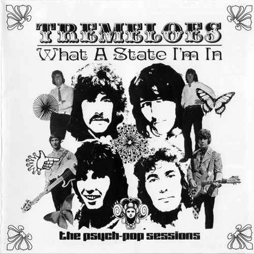 The Tremeloes - What A State I'm In (2003)