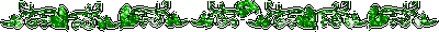 5a8b1e77c2a95ac13bef4e0fd4df08ab (400x30, 6Kb)