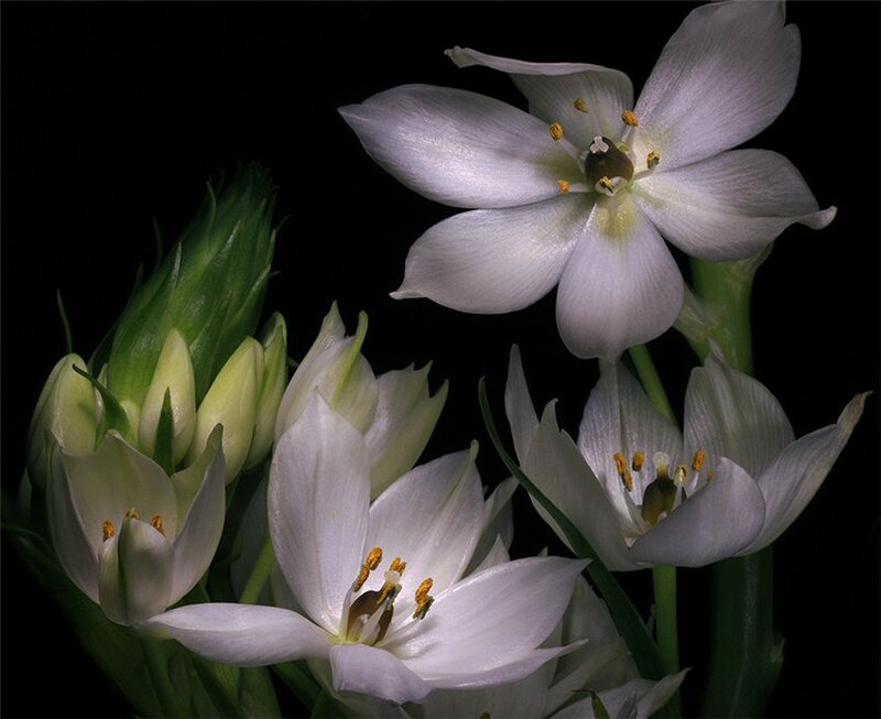 Foto by Elena Eremina
