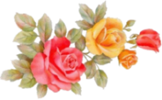 Pink_Yellow_Roses_Carol_W_1 (235x146, 66Kb)